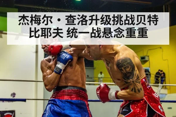 boxer knockout punch