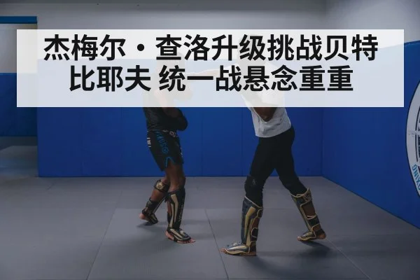 boxer defensive footwork